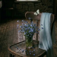 Тишина :: Lena )