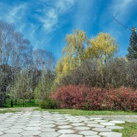Весна в парке! :: Варвара 