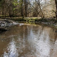 Весна . Лесной ручей. :: Va-Dim ...