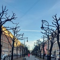 Весенняя аллея :: Максим Егоров