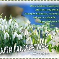 С ДНЁМ ПОДСНЕЖНИКА ! :: Валентина Надсон