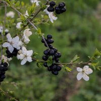 *** :: Александр. AVG100 ---