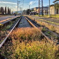 7 минут до рейса :: Eugene *