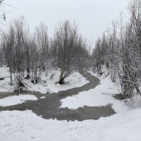 Снегопад :: Anna Ivanova