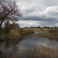 *** :: Александр Бекетов