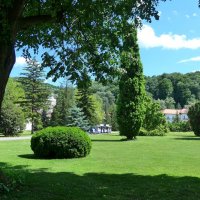 Полянка :: Ольга Лебедева (Беловласова)