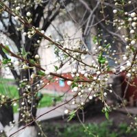 ,,, :: Сергей Тимоновский