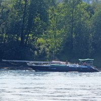 На Неве :: alemigun 