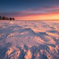 Зимний залив в вечернем свете :: Лилия 