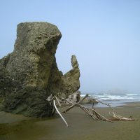 Гигантский окаменевший носорог. :: unix (Илья Утропов)