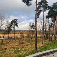 *** :: Андрей Л. В.