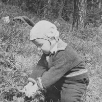 Первая ягодка :: Андрей Хлопонин