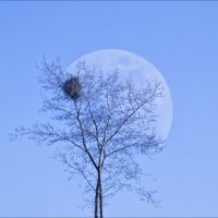 Вот и встретились три одиночества... :: Валентина *