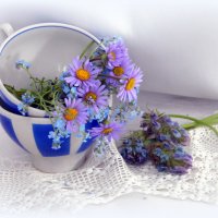 Полевые цветы. :: nadyasilyuk Вознюк