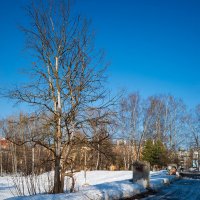 Атмосфера весны в городе :: Александр Синдерёв
