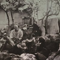 Портрет скульптора Степана Дмитриевича Эрьзя с деревом кебрачо :: ИРЭН@ .