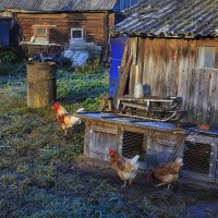 Подворье :: Владимир Гришин