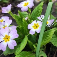 ,,, :: Сергей Тимоновский