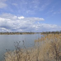 **** :: Виктор 