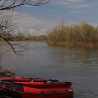 Астраханская рыбалка уже не та :: Татьяна Салиева