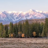 Курайский рассвет :: Марина Фомина.