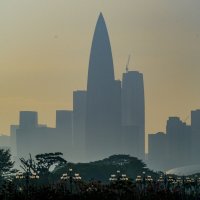 Линия горизонта г. Шэньчжэнь (2) :: Георгий А