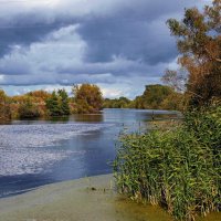 Природа готовится к осени :: В.И 