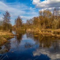 Весенняя прогулка 10 :: Андрей Дворников