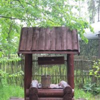 Колодец :: Дмитрий Никитин