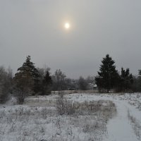 Зимний пейзаж :: Олег Подлесных