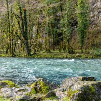 Река Юпшара. Абхазия. :: Дина Евсеева