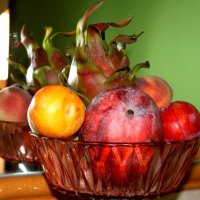 Фрукты :: Savayr 