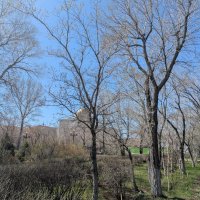 Апрель,в городе. :: Андрей Хлопонин