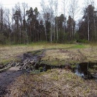 Апрель как он есть. Дальше не проехал на велосипеде :: Андрей Лукьянов