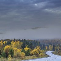 S-образная дорога :: Владимир Кириченко