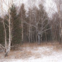 Осеннее предзимье :: Сергей Герасимов