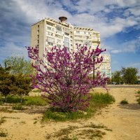 Дом с маяком :: Анатолий Чикчирный