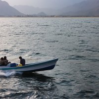 Жизнь в Оманском заливе :: Галина Ильясова