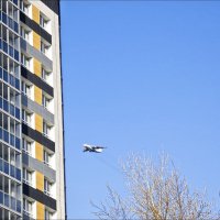 Иллюзия :: Валентина *