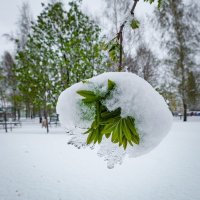 19 Апреля 2017 года город Белгород ... :: Ravile 