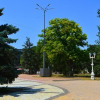 Керчь. Дуб в сквере Афганцев. :: Пётр Чернега