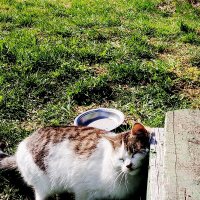 Кайф. :: Vladimir Semenchukov