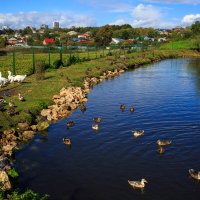 Старый  Серпухов :: Владимир Гришин