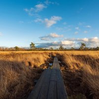 По тропе... :: Николай Гирш