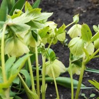 ,,, :: Сергей Тимоновский