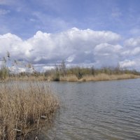 **** :: Виктор 