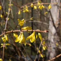 *** :: Геннадий Порохов