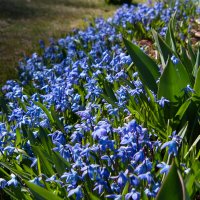 *** :: Геннадий Порохов