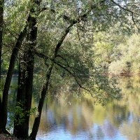Щучий пруд :: Игорь Белоногов