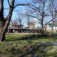 Весна в городе :: Aida10 